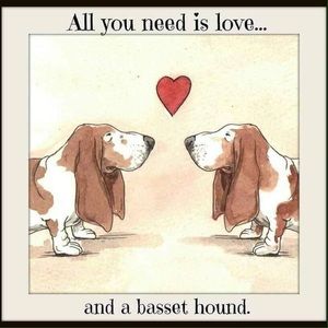 Meet your Posher, Janet